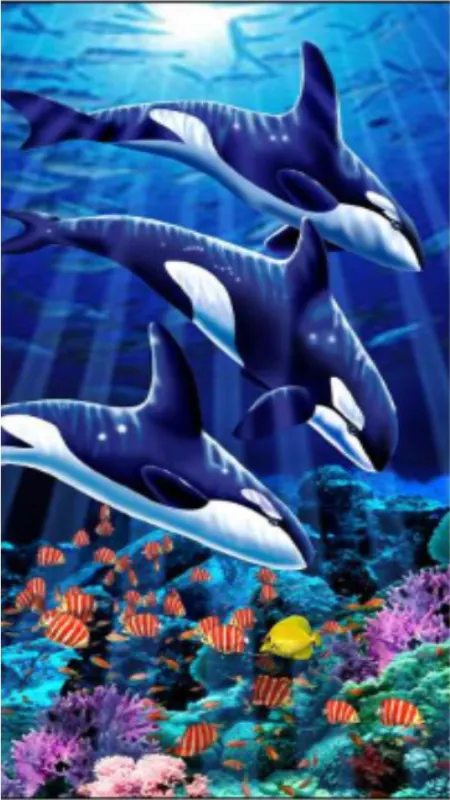 Three Orcas: Toalla de playa